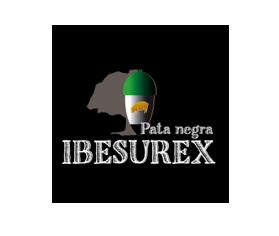 Ibesurex